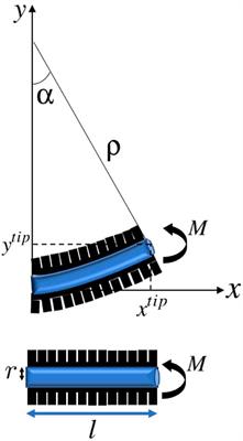 Physics-Informed Modeling and Control of Multi-Actuator Soft Catheter Robots